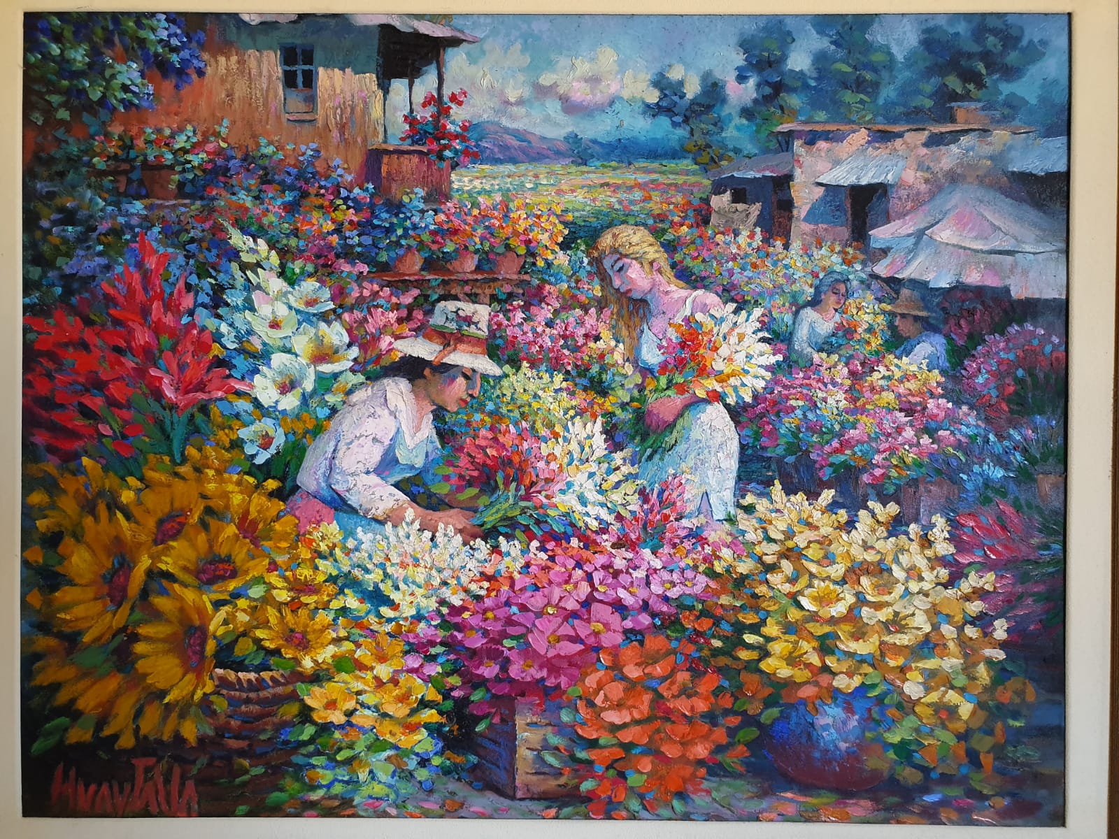 Harvest of colours